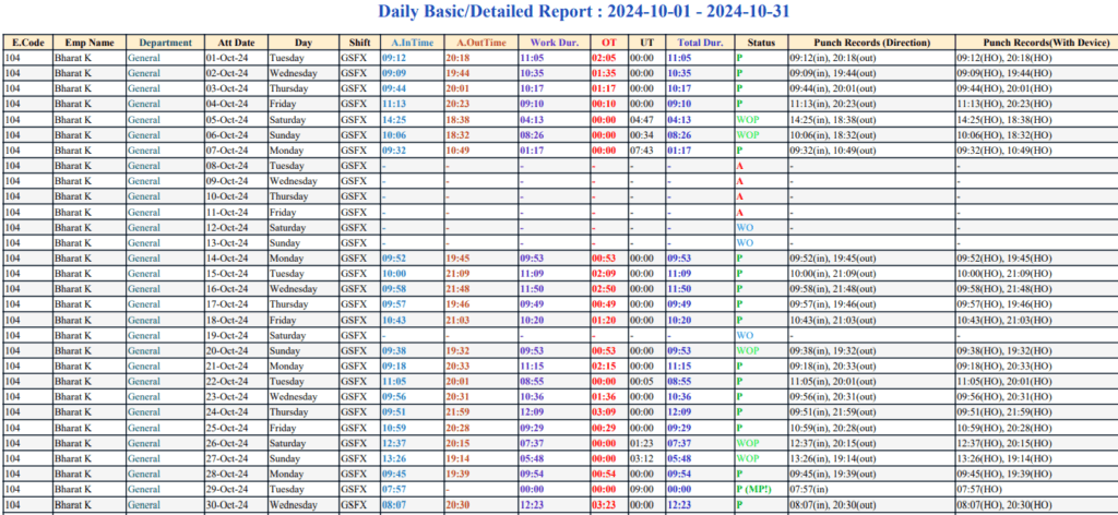 Reports-DailyReport1